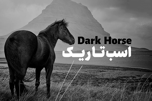 اسب تاریک وجودتان را بشناسید